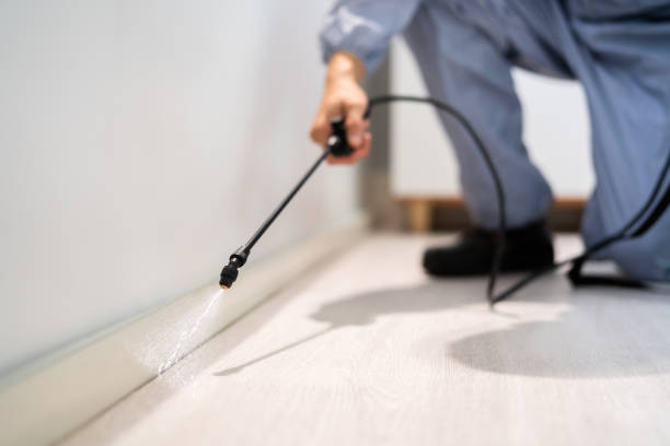 Licensed Pest Control service in Chalfont, PA - Show Me Pest Control